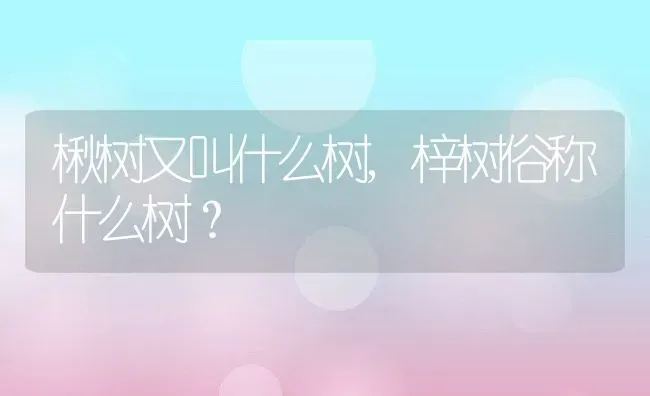 楸树又叫什么树,梓树俗称什么树？ | 养殖科普