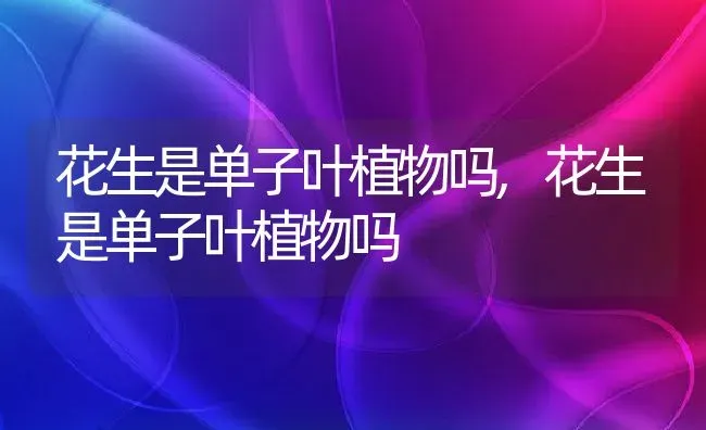 秀妍多肉怎么养护,秀妍多肉怎么养？ | 养殖科普