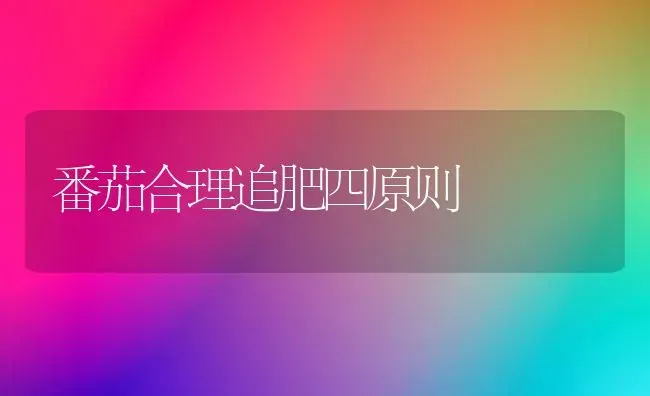 番茄合理追肥四原则 | 养殖技术大全