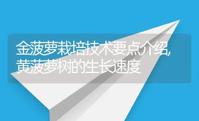 金菠萝栽培技术要点介绍,黄菠萝树的生长速度 | 养殖学堂