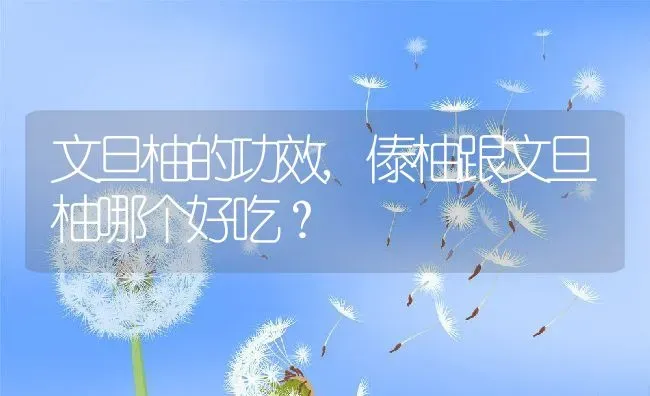 文旦柚的功效,傣柚跟文旦柚哪个好吃？ | 养殖科普