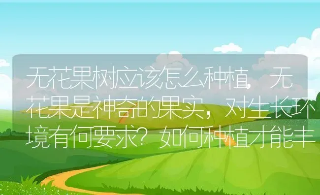 无花果树应该怎么种植,无花果是神奇的果实，对生长环境有何要求？如何种植才能丰产 | 养殖学堂