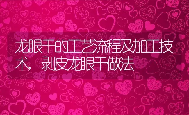 龙眼干的工艺流程及加工技术,剥皮龙眼干做法 | 养殖学堂