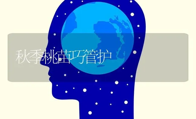 秋季桃苗巧管护 | 养殖技术大全