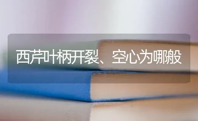 西芹叶柄开裂、空心为哪般 | 养殖知识