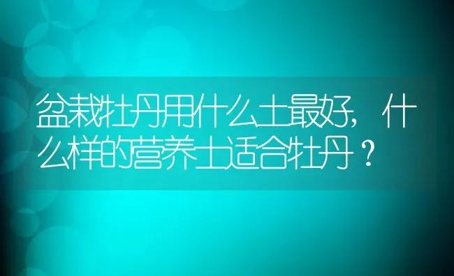 盆栽牡丹用什么土最好,什么样的营养士适合牡丹？ | 养殖学堂