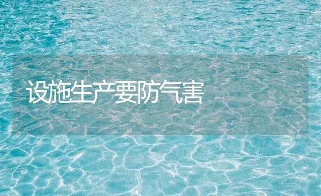 设施生产要防气害 | 养殖知识