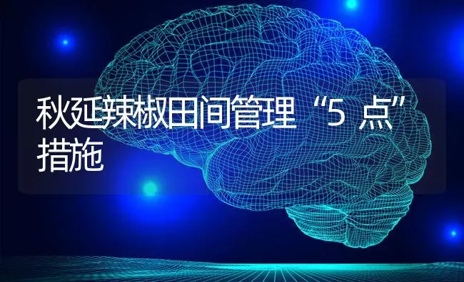 秋延辣椒田间管理“5点”措施 | 养殖知识