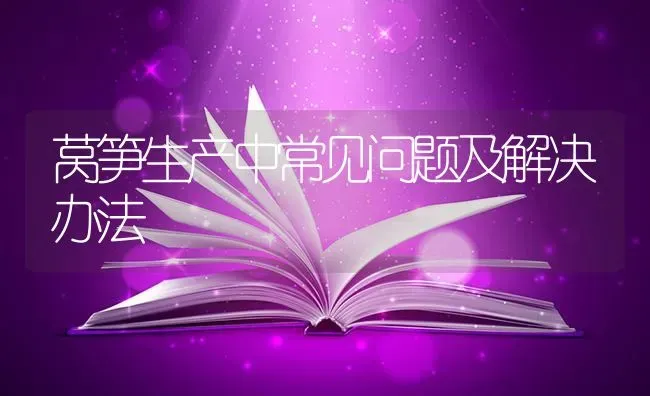 莴笋生产中常见问题及解决办法 | 养殖技术大全