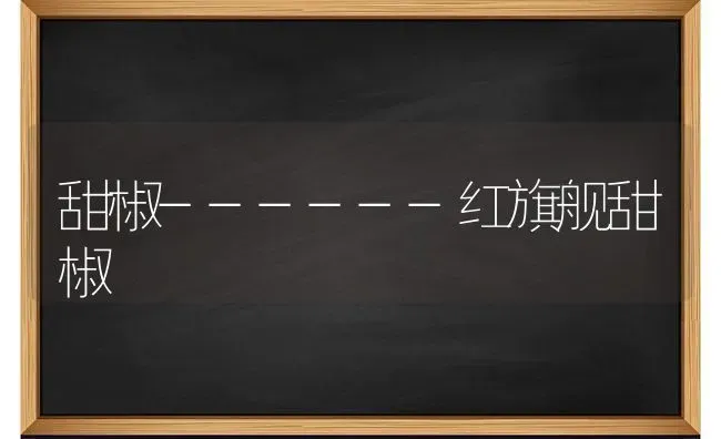 甜椒------红旗舰甜椒 | 养殖知识