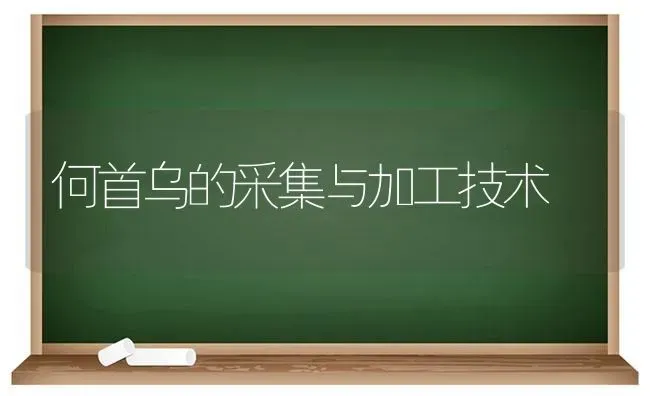 何首乌的采集与加工技术 | 养殖技术大全