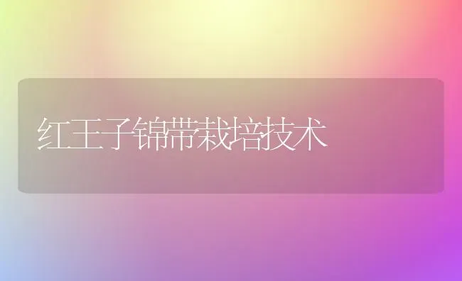 红王子锦带栽培技术 | 养殖知识