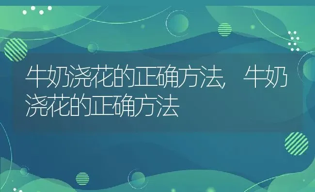 牛奶浇花的正确方法,牛奶浇花的正确方法 | 养殖科普