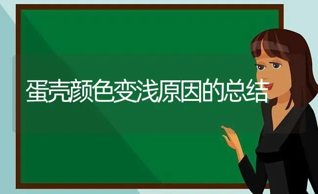 蛋壳颜色变浅原因的总结 | 养殖知识