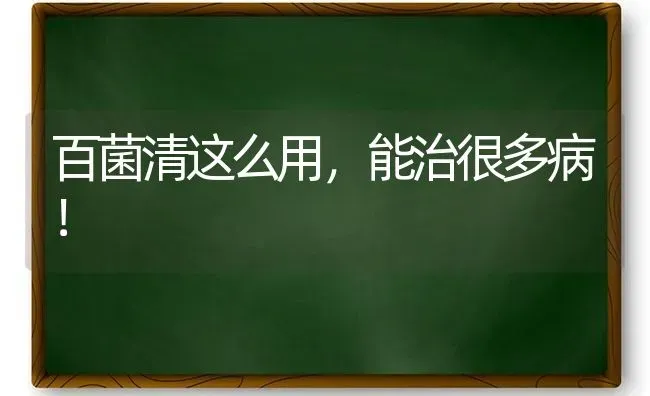 百菌清这么用,能治很多病！ | 养殖技术大全