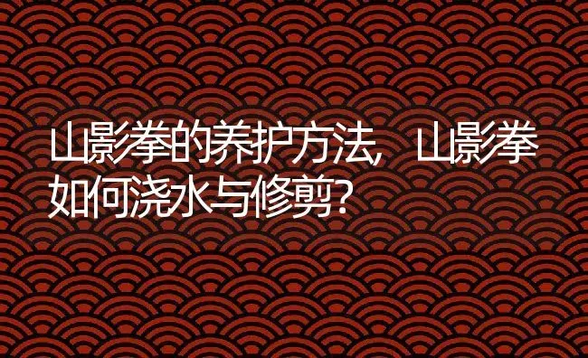 山影拳的养护方法,山影拳如何浇水与修剪？ | 养殖科普