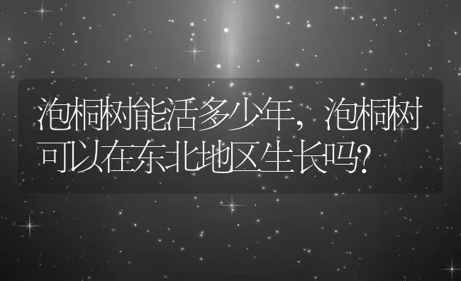 泡桐树能活多少年,泡桐树可以在东北地区生长吗？ | 养殖科普