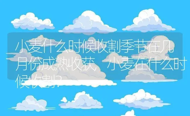 小麦什么时候收割季节在几月份成熟收获,小麦在什么时候收割？ | 养殖科普