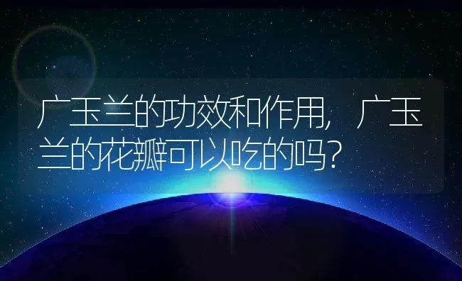 广玉兰的功效和作用,广玉兰的花瓣可以吃的吗？ | 养殖科普