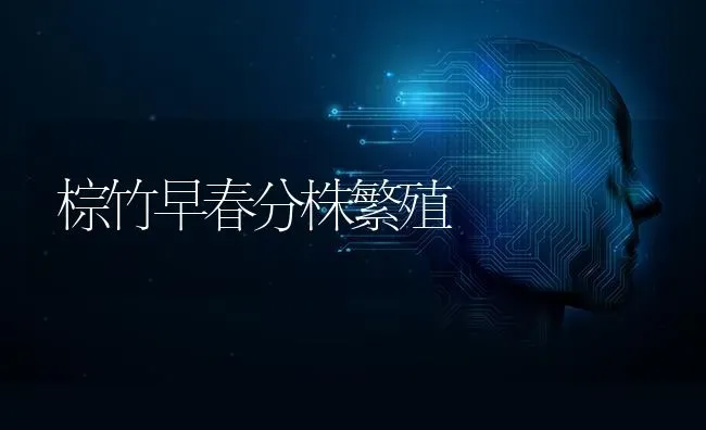 棕竹早春分株繁殖 | 养殖知识