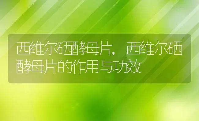 西维尔硒酵母片,西维尔硒酵母片的作用与功效 | 养殖科普