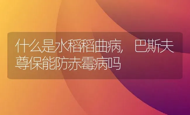 什么是水稻稻曲病,巴斯夫尊保能防赤霉病吗 | 养殖学堂