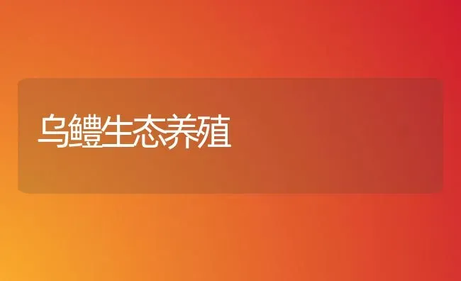 乌鳢生态养殖 | 养殖知识