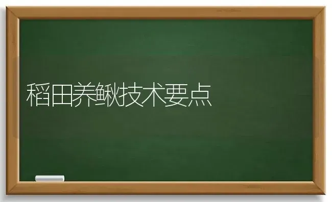 稻田养鳅技术要点 | 养殖技术大全