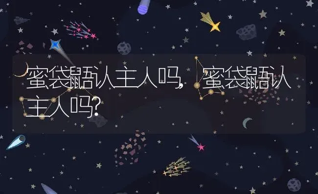 蜜袋鼯认主人吗,蜜袋鼯认主人吗? | 养殖科普