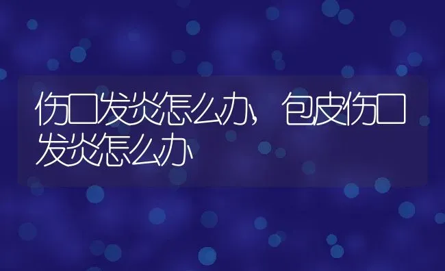 伤口发炎怎么办,包皮伤口发炎怎么办 | 养殖科普