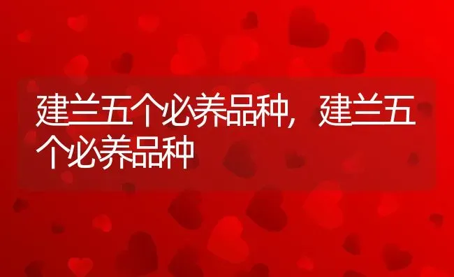 建兰五个必养品种,建兰五个必养品种 | 养殖科普