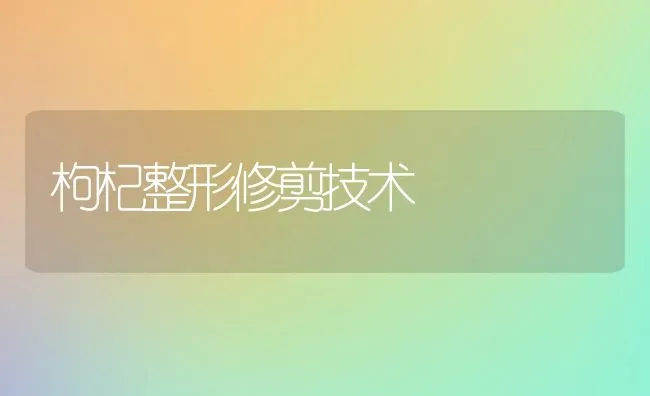 枸杞整形修剪技术 | 养殖知识