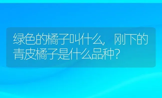 绿色的橘子叫什么,刚下的青皮橘子是什么品种？ | 养殖科普