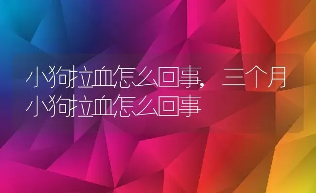 小狗拉血怎么回事,三个月小狗拉血怎么回事 | 养殖学堂