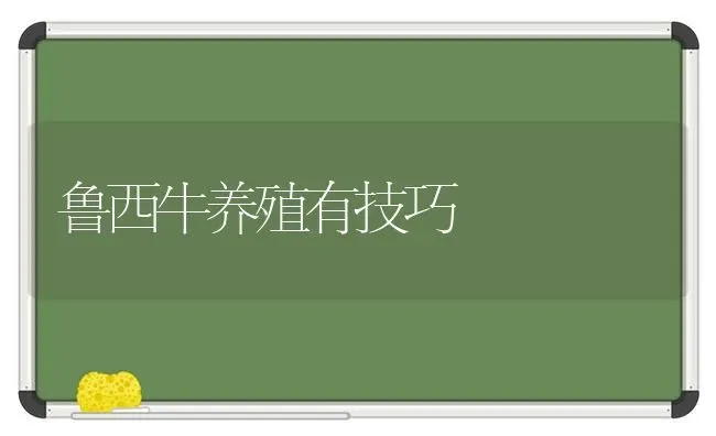 鲁西牛养殖有技巧 | 养殖技术大全