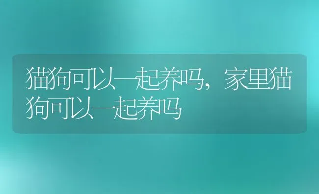 猫狗可以一起养吗,家里猫狗可以一起养吗 | 养殖科普