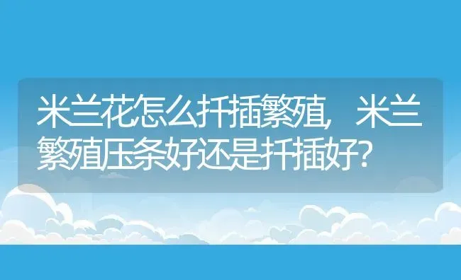 米兰花怎么扦插繁殖,米兰繁殖压条好还是扦插好？ | 养殖学堂