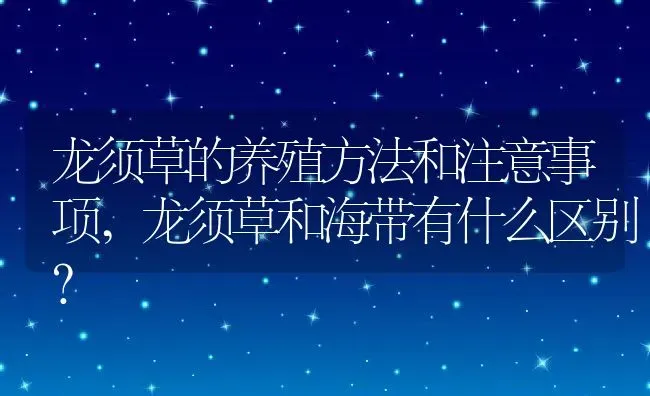 龙须草的养殖方法和注意事项,龙须草和海带有什么区别？ | 养殖科普