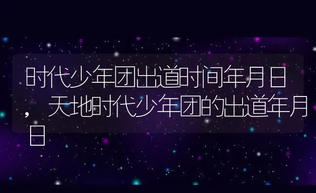 时代少年团出道时间年月日,天地时代少年团的出道年月日 | 养殖学堂
