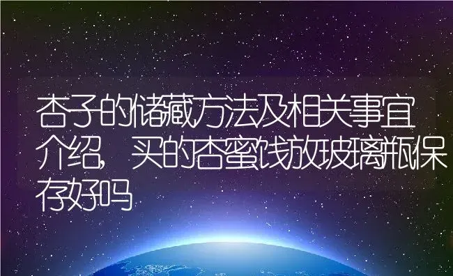 杏子的储藏方法及相关事宜介绍,买的杏蜜饯放玻璃瓶保存好吗 | 养殖学堂