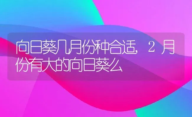 向日葵几月份种合适,2月份有大的向日葵么 | 养殖学堂