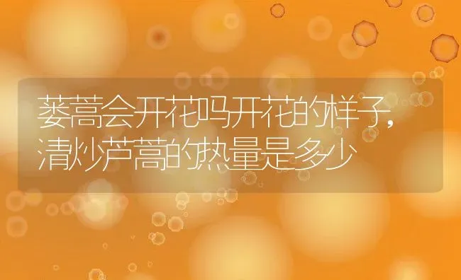 蒌蒿会开花吗开花的样子,清炒芦蒿的热量是多少 | 养殖学堂
