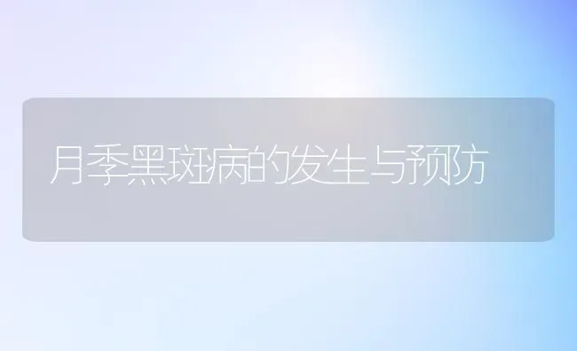 月季黑斑病的发生与预防 | 养殖技术大全