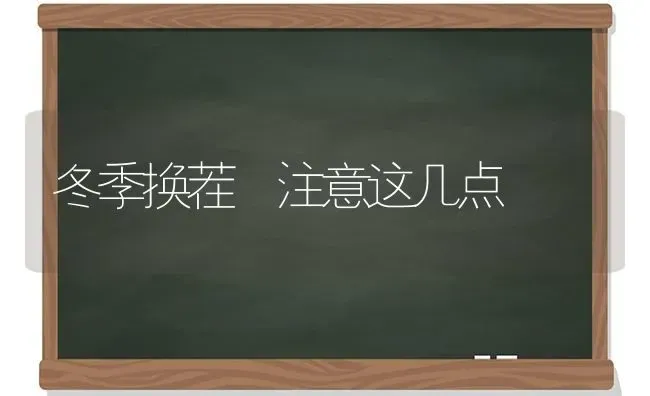 冬季换茬 注意这几点 | 养殖知识