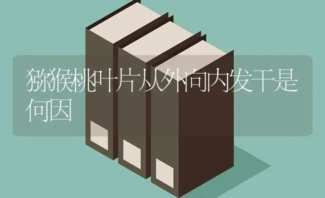 猕猴桃叶片从外向内发干是何因 | 养殖技术大全