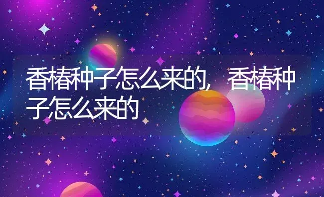 香椿种子怎么来的,香椿种子怎么来的 | 养殖学堂