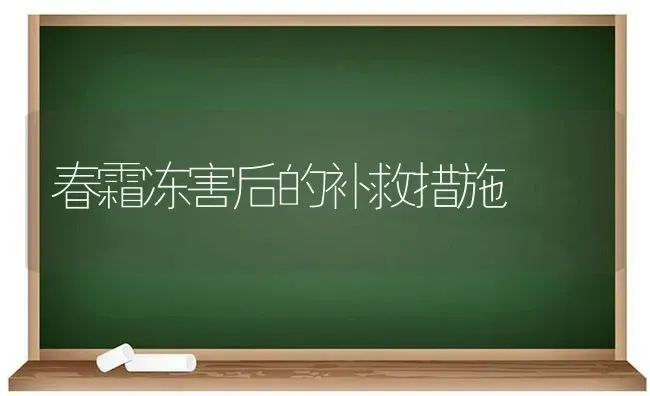 春霜冻害后的补救措施 | 养殖知识