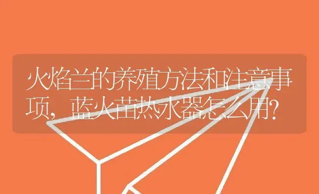 火焰兰的养殖方法和注意事项,蓝火苗热水器怎么用？ | 养殖科普