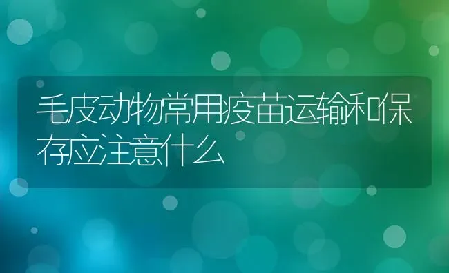 毛皮动物常用疫苗运输和保存应注意什么 | 养殖知识