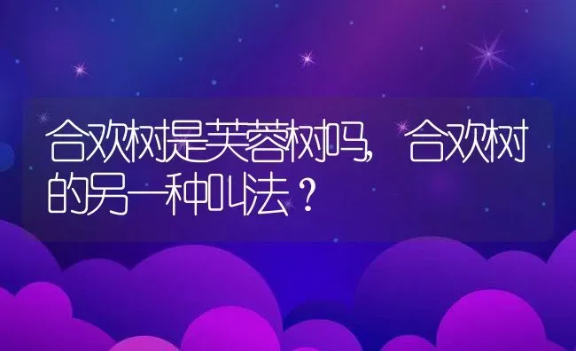 合欢树是芙蓉树吗,合欢树的另一种叫法？ | 养殖科普